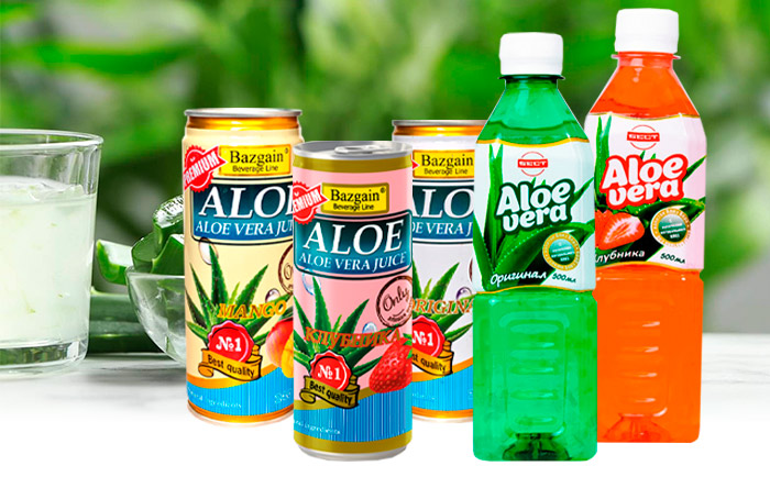 www aloe vera ALOE VERA 8in – Watters Garden Center